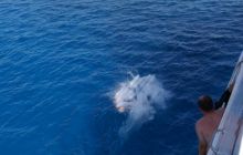 Zdjęcia z Safagi - paźdzernik 2011