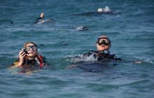 Zdjęcia z Safagi - paźdzernik 2011