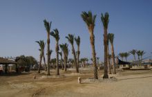 Zdjęcia z Safagi - paźdzernik 2011