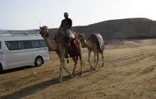 Zdjęcia z Safagi - paźdzernik 2011