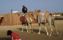 Zdjęcia z Safagi - paźdzernik 2011