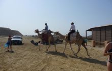 Zdjęcia z Safagi - paźdzernik 2011