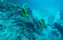 Zdjęcia z Safagi - paźdzernik 2011