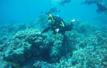 Zdjęcia z Safagi - paźdzernik 2011