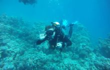 Zdjęcia z Safagi - paźdzernik 2011