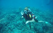 Zdjęcia z Safagi - paźdzernik 2011