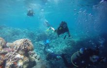 Zdjęcia z Safagi - paźdzernik 2011