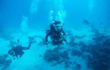 Zdjęcia z Safagi - paźdzernik 2011