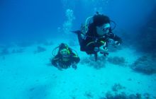 Zdjęcia z Safagi - paźdzernik 2011