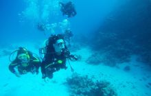 Zdjęcia z Safagi - paźdzernik 2011