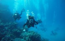 Zdjęcia z Safagi - paźdzernik 2011