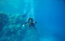 Zdjęcia z Safagi - paźdzernik 2011