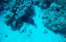 Zdjęcia z Safagi - paźdzernik 2011