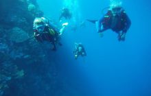 Zdjęcia z Safagi - paźdzernik 2011