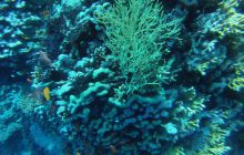 Zdjęcia z Safagi - paźdzernik 2011