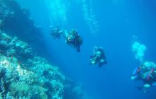 Zdjęcia z Safagi - paźdzernik 2011