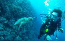 Zdjęcia z Safagi - paźdzernik 2011