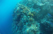 Zdjęcia z Safagi - paźdzernik 2011