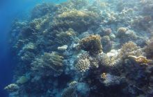 Zdjęcia z Safagi - paźdzernik 2011