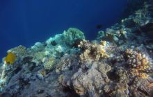 Zdjęcia z Safagi - paźdzernik 2011