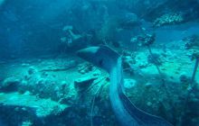 Zdjęcia z Safagi - paźdzernik 2011