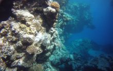 Zdjęcia z Safagi - paźdzernik 2011