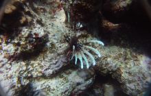 Zdjęcia z Safagi - paźdzernik 2011