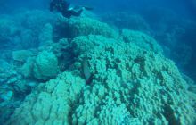 Zdjęcia z Safagi - paźdzernik 2011