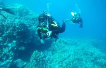 Zdjęcia z Safagi - paźdzernik 2011