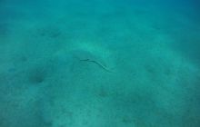 Zdjęcia z Safagi - paźdzernik 2011