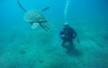 Zdjęcia z Safagi - paźdzernik 2011