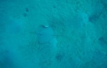 Zdjęcia z Safagi - paźdzernik 2011