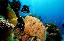 Egipt Hurghada kwiecień 2006