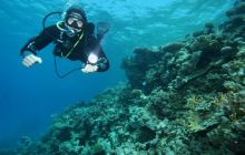 Egipt Hurghada kwiecień 2006