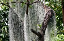 Galapagos listopad 2011