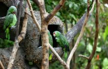 Galapagos listopad 2011