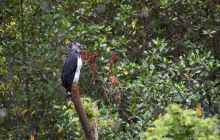 Galapagos listopad 2011