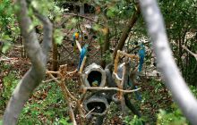 Galapagos listopad 2011