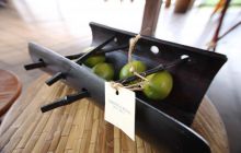 Galapagos listopad 2011