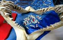 Galapagos listopad 2011