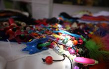 Galapagos listopad 2011