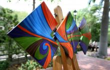 Galapagos listopad 2011