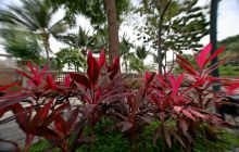 Galapagos listopad 2011