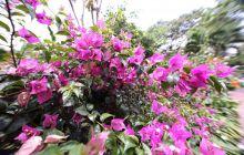 Galapagos listopad 2011