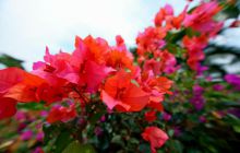 Galapagos listopad 2011