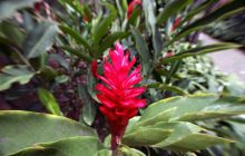 Galapagos listopad 2011