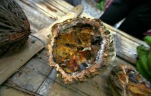 Galapagos listopad 2011