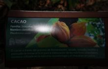 Galapagos listopad 2011