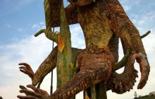 Galapagos listopad 2011