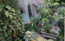 Galapagos listopad 2011